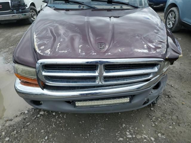 2004 Dodge Dakota Quad SLT