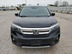 2019 Honda Pilot EXL