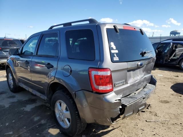 2009 Ford Escape XLT