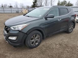 Salvage cars for sale from Copart Ontario Auction, ON: 2013 Hyundai Santa FE Sport