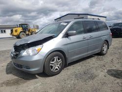 Salvage cars for sale at Airway Heights, WA auction: 2006 Honda Odyssey EXL