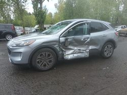 Salvage cars for sale at Portland, OR auction: 2022 Ford Escape SEL