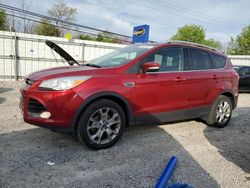 Salvage cars for sale from Copart Walton, KY: 2014 Ford Escape Titanium