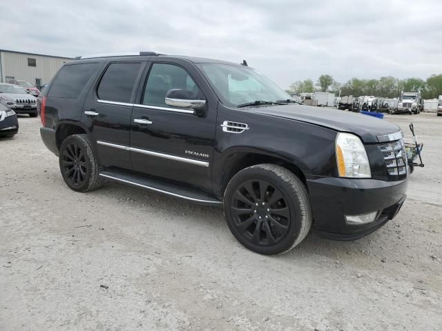 2010 Cadillac Escalade