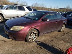 Scion salvage cars for sale: 2006 Scion TC