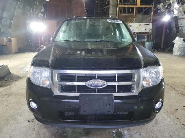 2009 Ford Escape XLT