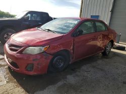 Salvage cars for sale from Copart Memphis, TN: 2011 Toyota Corolla Base