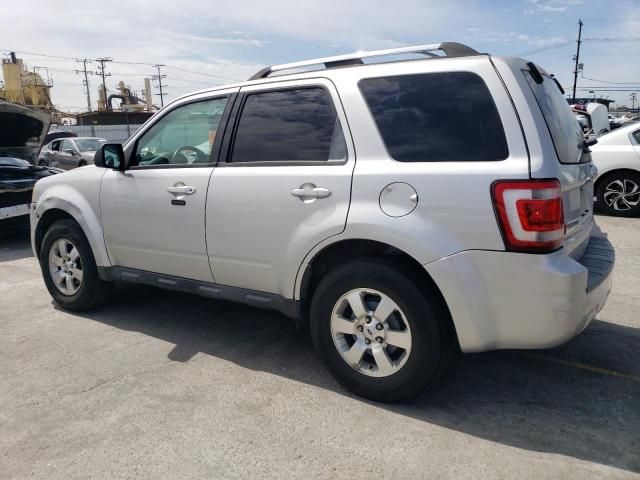 2011 Ford Escape Limited