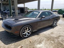 Dodge salvage cars for sale: 2016 Dodge Challenger SXT