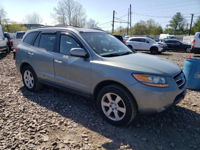 2009 Hyundai Santa FE SE