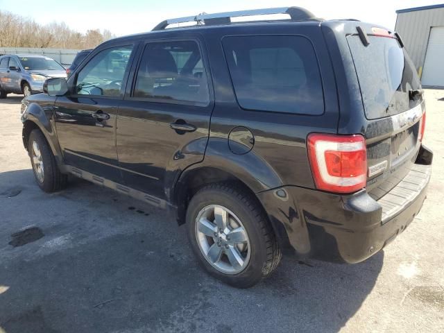 2009 Ford Escape Limited