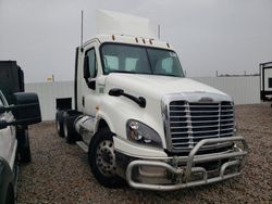 Salvage trucks for sale at Avon, MN auction: 2019 Freightliner Cascadia 125