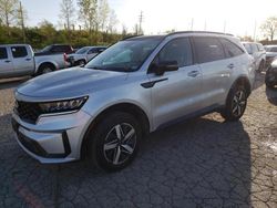 KIA Sorento EX salvage cars for sale: 2021 KIA Sorento EX