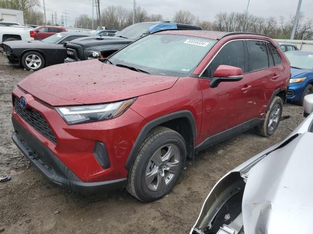 2024 Toyota Rav4 XLE