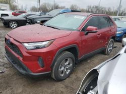 Salvage cars for sale at Columbus, OH auction: 2024 Toyota Rav4 XLE