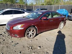 Salvage cars for sale at Waldorf, MD auction: 2013 Nissan Maxima S