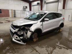 Salvage cars for sale from Copart Avon, MN: 2013 Ford Escape SE