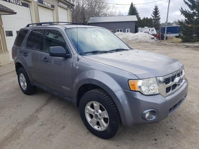 2008 Ford Escape XLT