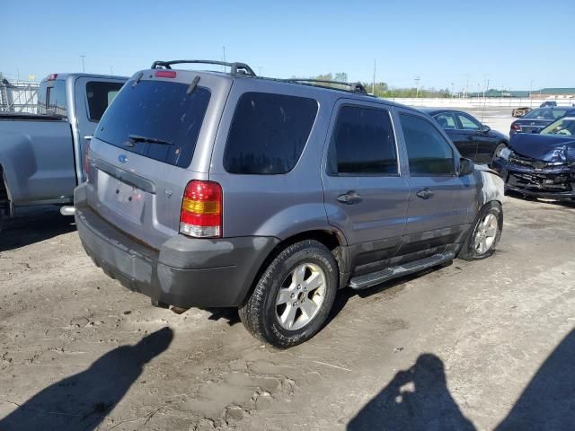 2007 Ford Escape XLT