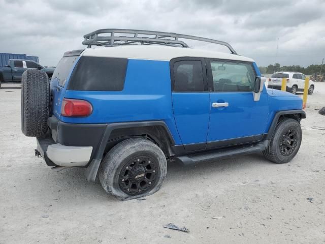 2007 Toyota FJ Cruiser