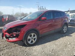 Salvage cars for sale from Copart Columbus, OH: 2013 Ford Escape SE