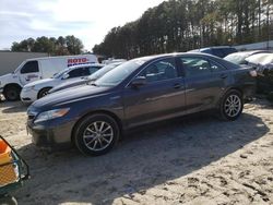 Salvage cars for sale at Seaford, DE auction: 2011 Toyota Camry Hybrid