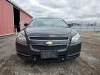 2011 Chevrolet Malibu 2LT