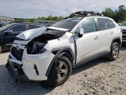 Salvage cars for sale at Memphis, TN auction: 2019 Toyota Rav4 XLE
