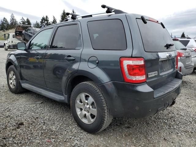 2009 Ford Escape Limited