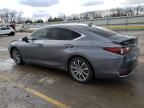 2019 Lexus ES 300H