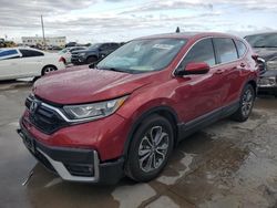 Salvage cars for sale at Grand Prairie, TX auction: 2020 Honda CR-V EX