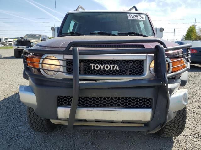 2007 Toyota FJ Cruiser