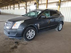 Salvage cars for sale from Copart Phoenix, AZ: 2010 Cadillac SRX