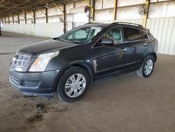 Salvage cars for sale at Phoenix, AZ auction: 2010 Cadillac SRX