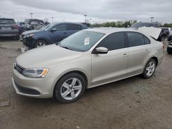 Volkswagen Jetta Vehiculos salvage en venta: 2013 Volkswagen Jetta TDI