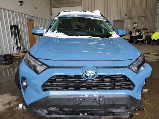 2023 Toyota Rav4 Woodland Edition