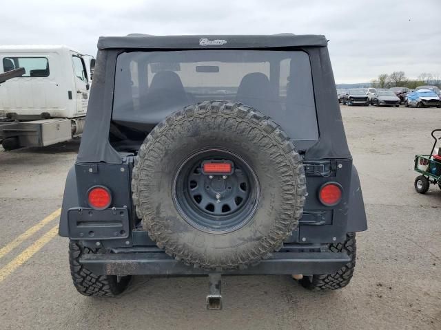 1998 Jeep Wrangler / TJ Sport