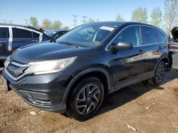 Salvage cars for sale from Copart Elgin, IL: 2016 Honda CR-V SE