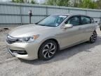 2016 Honda Accord EXL