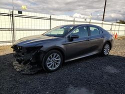 Salvage cars for sale from Copart Portland, OR: 2023 Toyota Camry LE