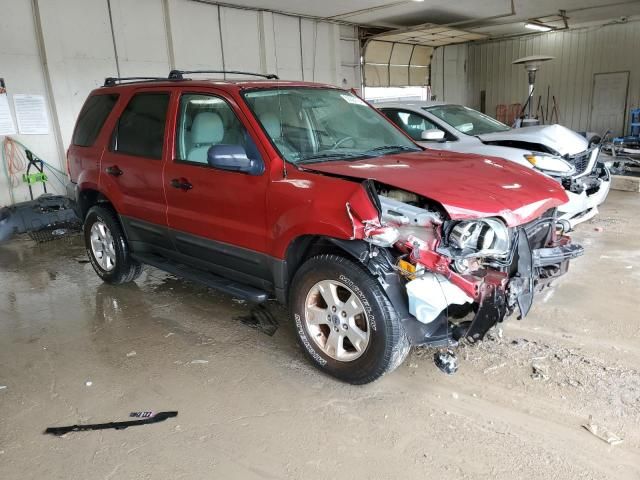 2005 Ford Escape XLT