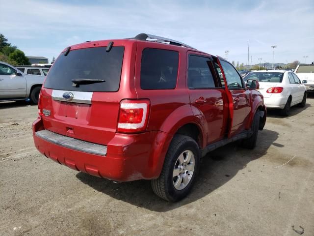 2010 Ford Escape Limited