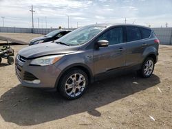 Salvage cars for sale at Greenwood, NE auction: 2013 Ford Escape SEL