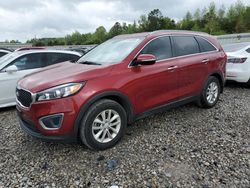 Salvage cars for sale at Memphis, TN auction: 2016 KIA Sorento LX