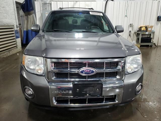 2010 Ford Escape Limited