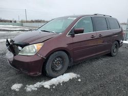 Honda Odyssey ex salvage cars for sale: 2010 Honda Odyssey EX