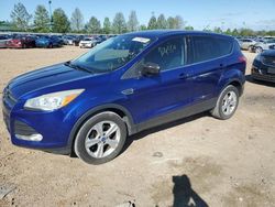 Salvage cars for sale at Bridgeton, MO auction: 2013 Ford Escape SE