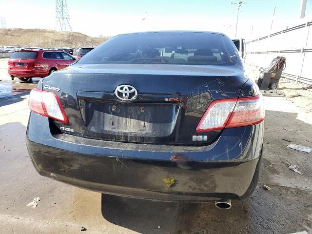 2009 Toyota Camry Hybrid