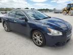 2014 Nissan Maxima S