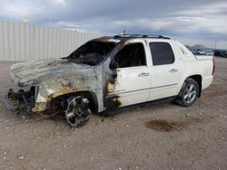 Salvage SUVs for sale at auction: 2012 Chevrolet Avalanche LTZ